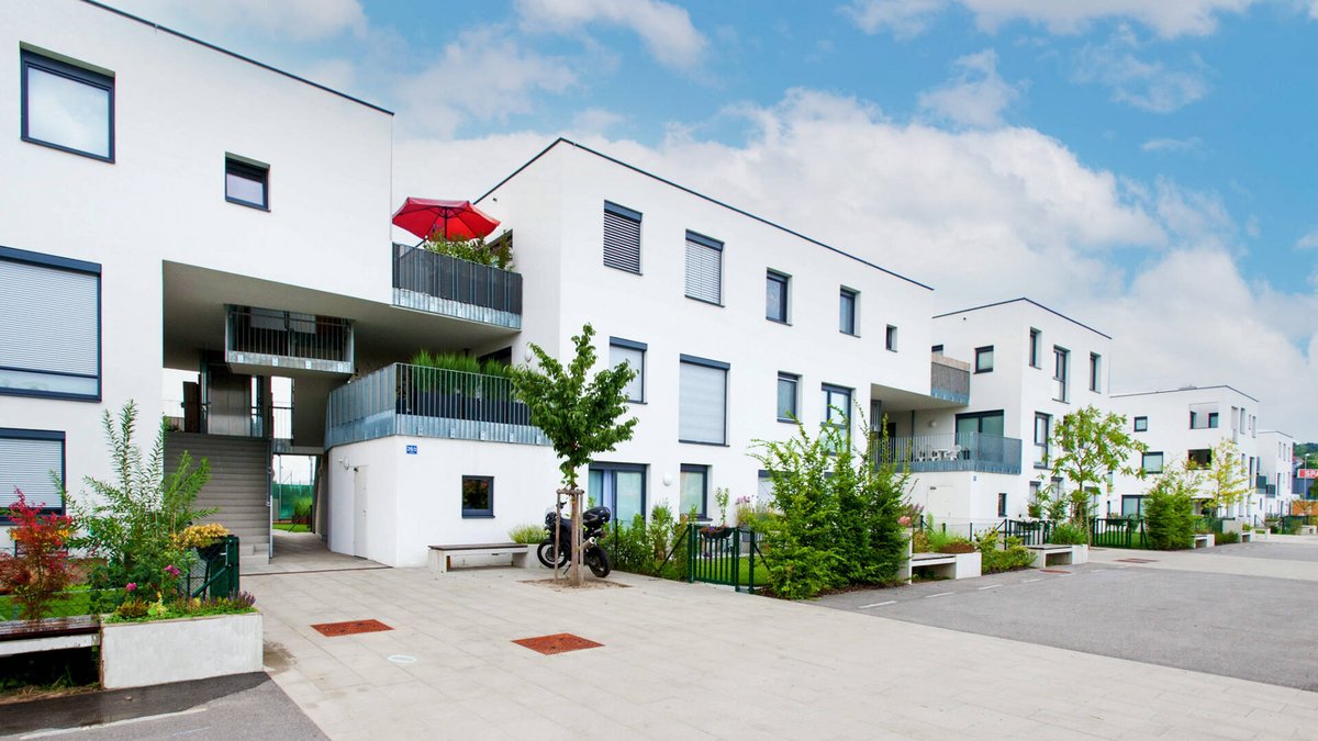 AS0_2463_2-2 AS0_2463_2-2