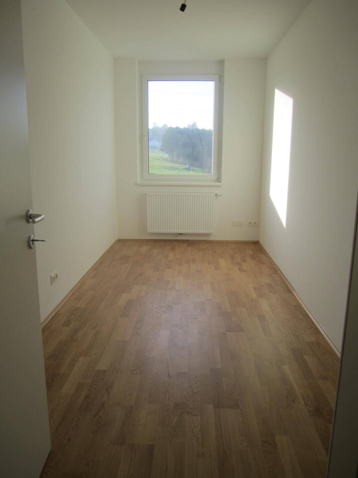 Zimmer1