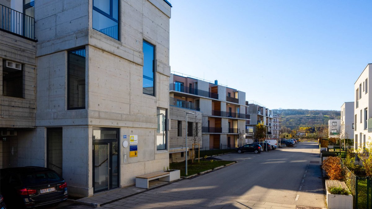 20201118_Grossweikersdorf_Badweg_screen_31 20201118_Grossweikersdorf_Badweg_screen_31