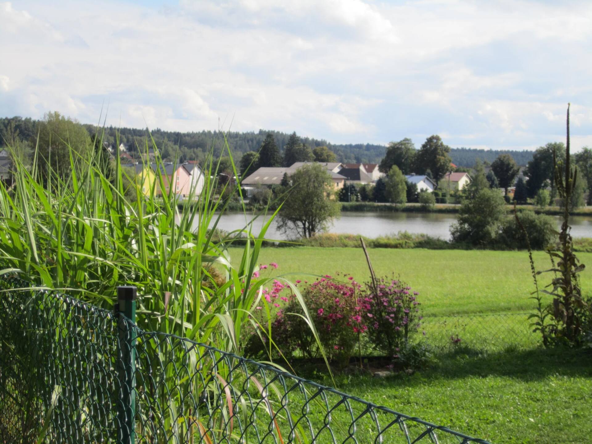 Ausblick Ausblick