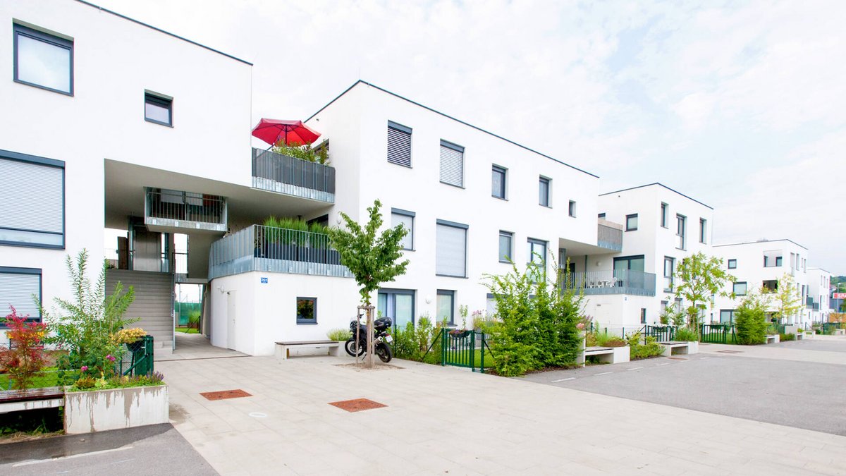 AS0_2463_2 AS0_2463_2