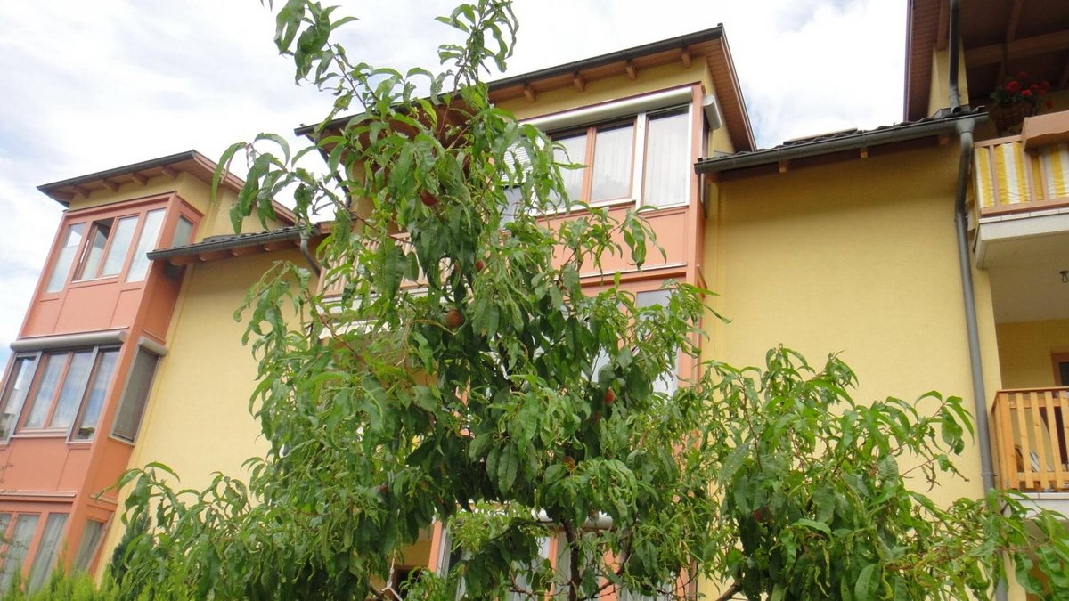 Bachwirtsiedlung, WHY (3)