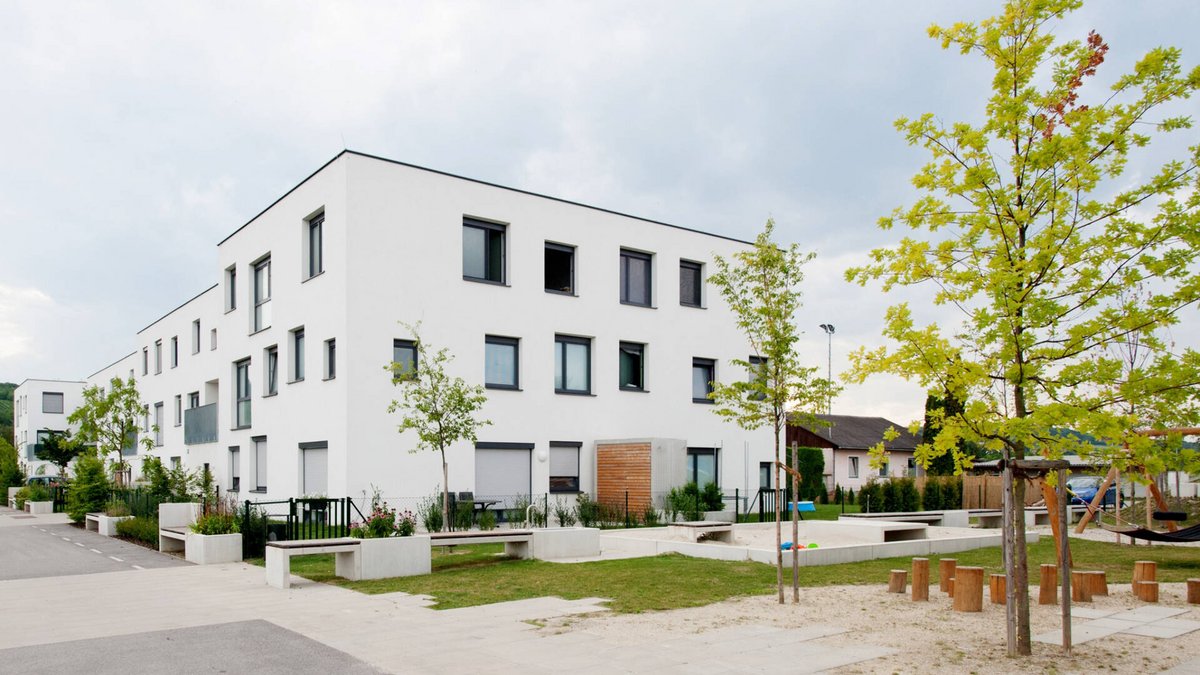 AS0_2484_2 AS0_2484_2