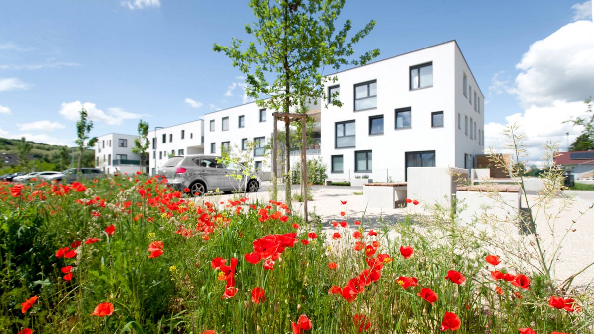 AS0_6751_3 AS0_6751_3