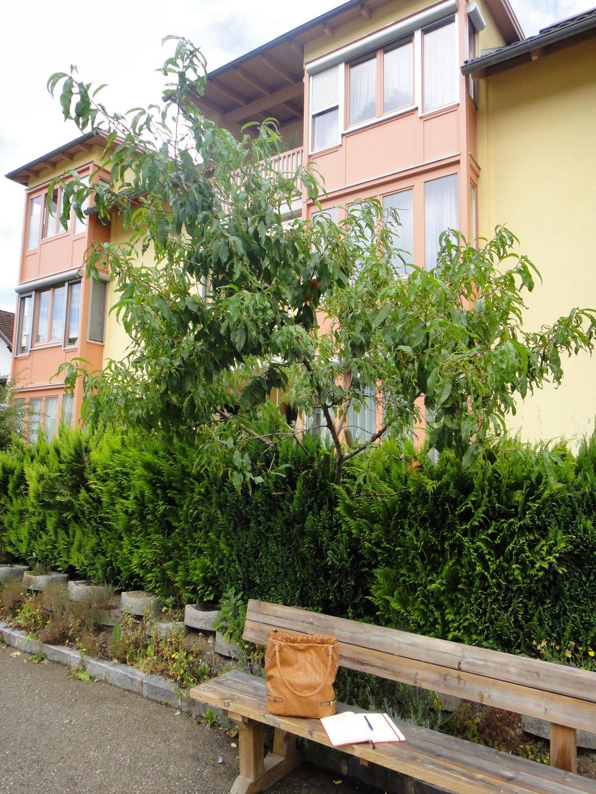 DSC02092