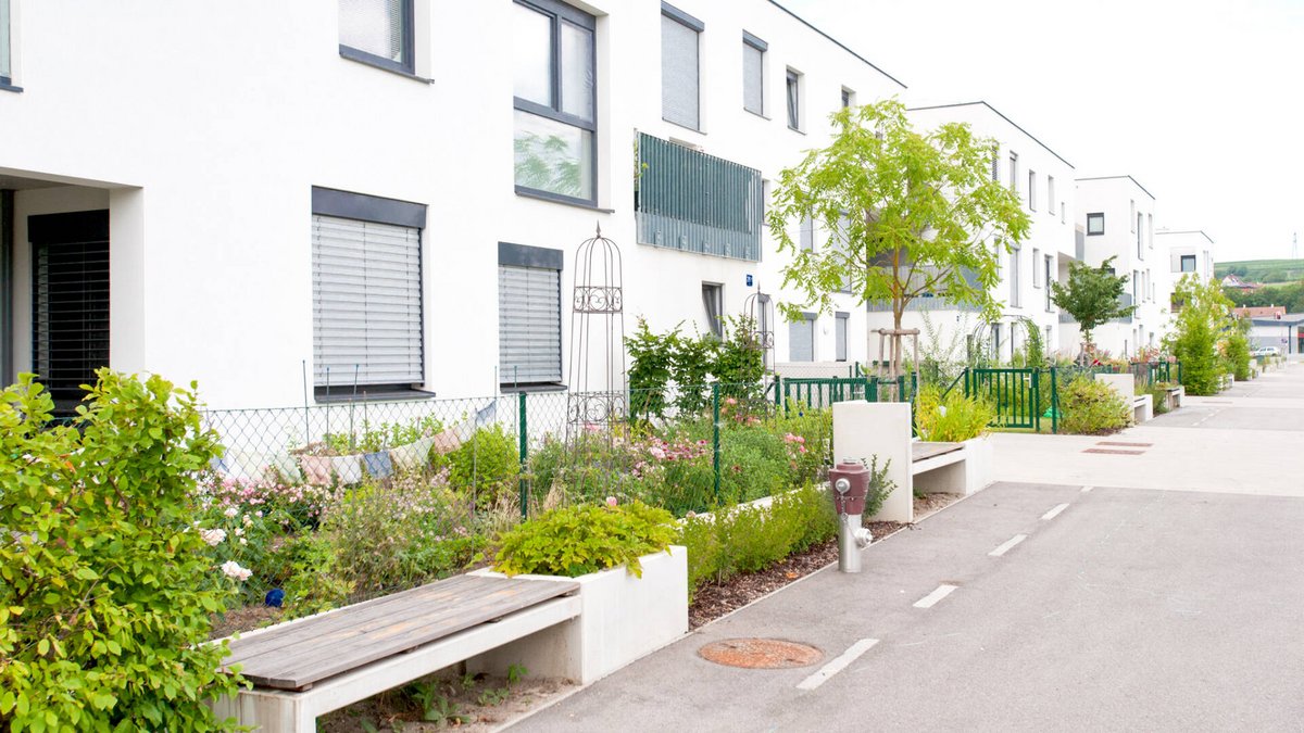 AS0_2458_2 AS0_2458_2