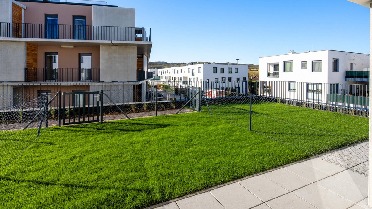 20201118_Grossweikersdorf_Badweg_screen_13 20201118_Grossweikersdorf_Badweg_screen_13