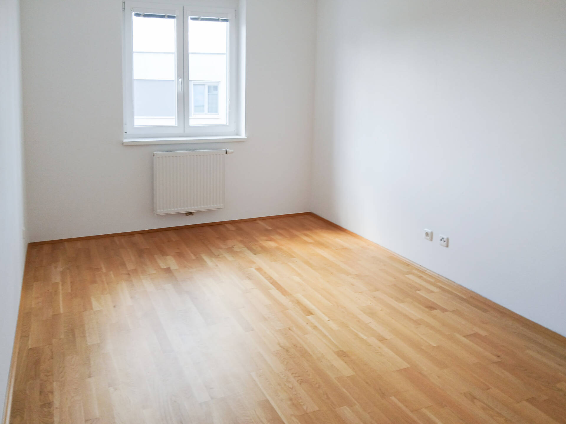 20250911_130626 20250911_130626